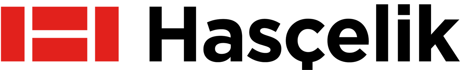 Hasçelik logosu